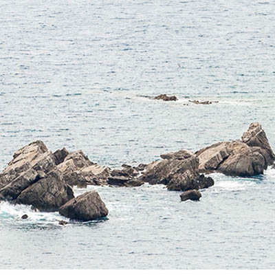 Petrovac
