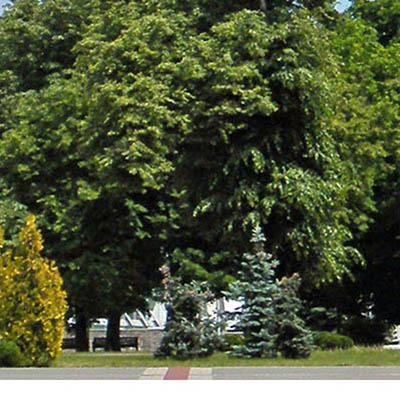 Pinsk