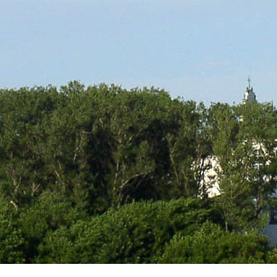 Polozk