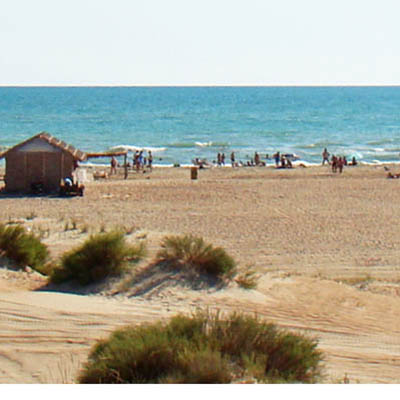 Witjasewo